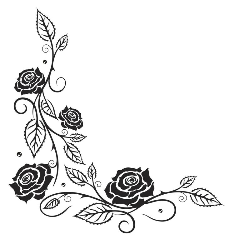 a black and white drawing of roses with leaves