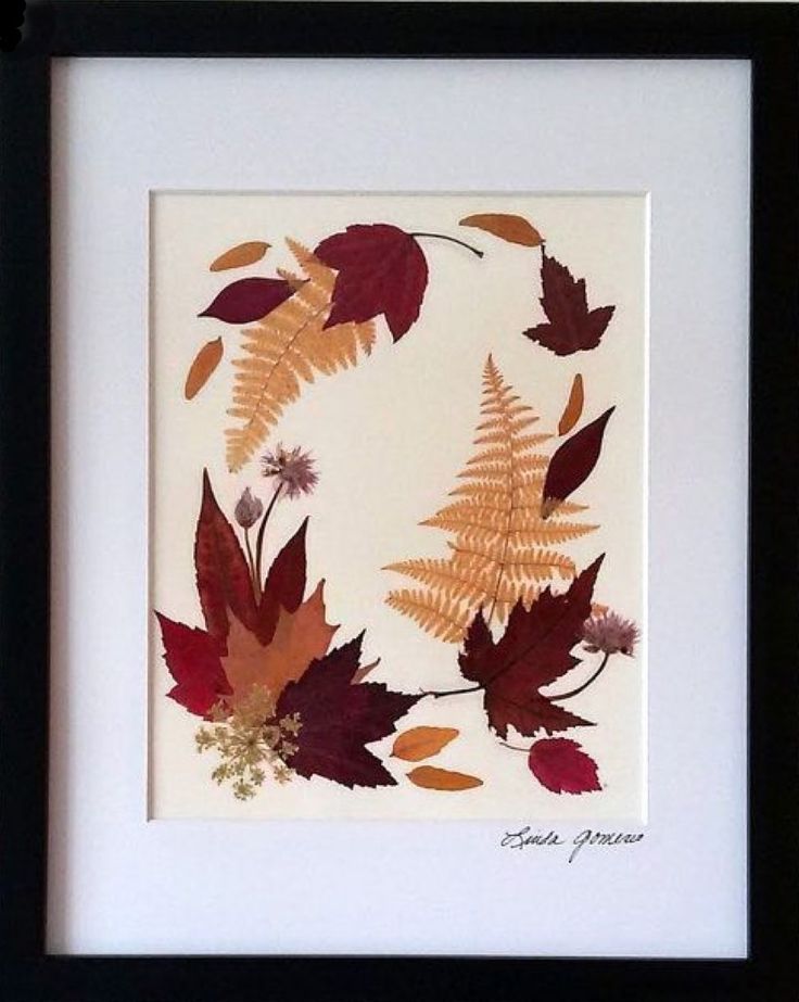 an image of some leaves in a frame on the wall with it's black border