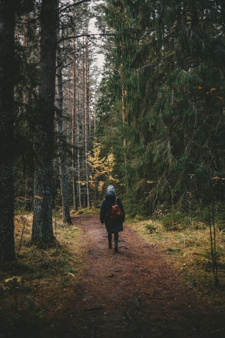 a person walking down a path in the woods