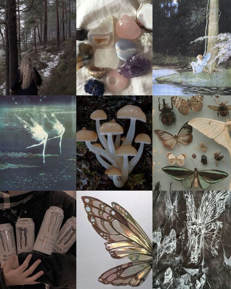 a collage of images with different types of butterflies and insects on them, including mushrooms