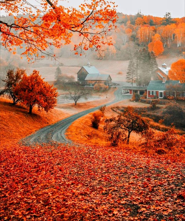 an autumn scene with leaves on the ground and houses in the distance, surrounded by trees