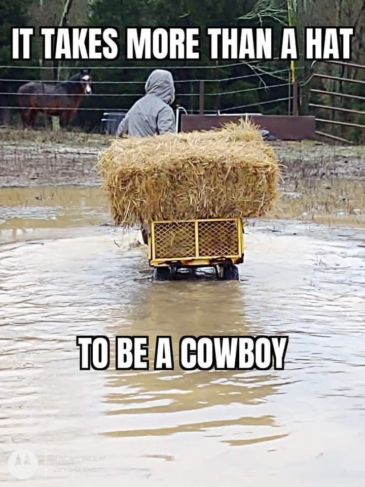 a man driving a cart with hay on it in the middle of a flooded field