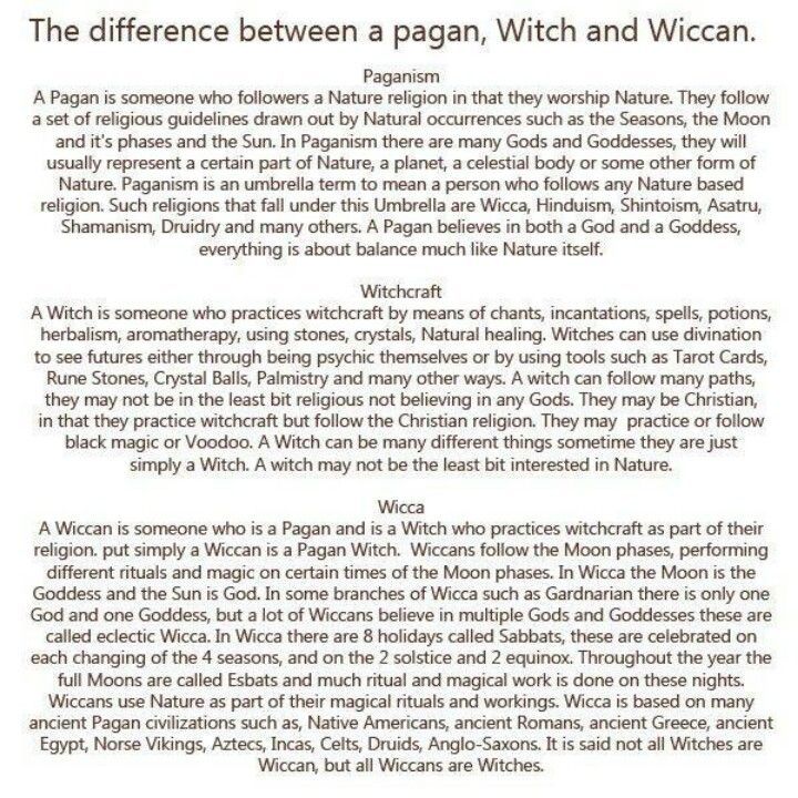 Types Of Witches, Witch Board, Eclectic Witch, Wicca Witchcraft, Pagan Witch, Baby Witch, Pagan Witchcraft, Witch Magic, Modern Witch