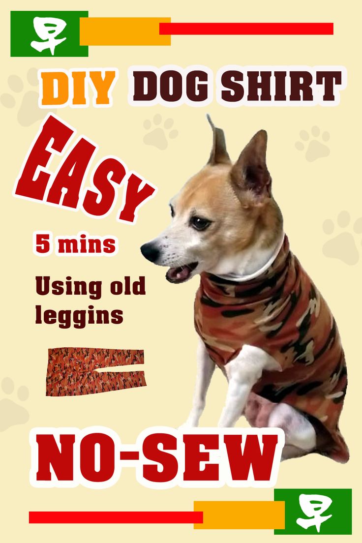 a poster with a dog wearing a shirt