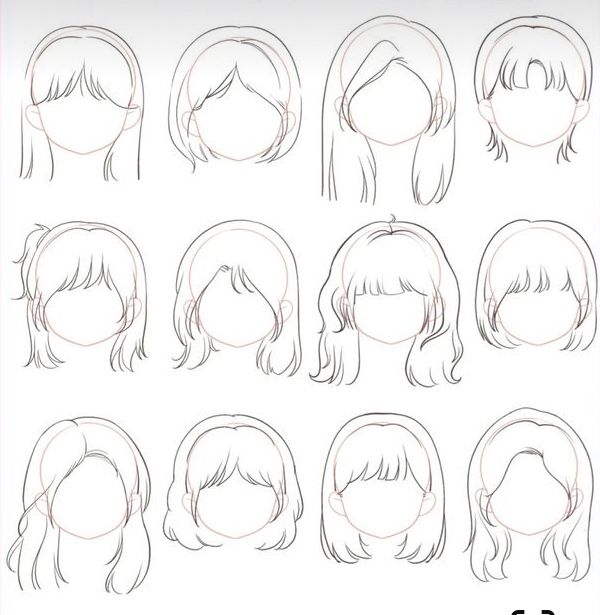 an image of various hairstyles drawn in the style of a woman's head