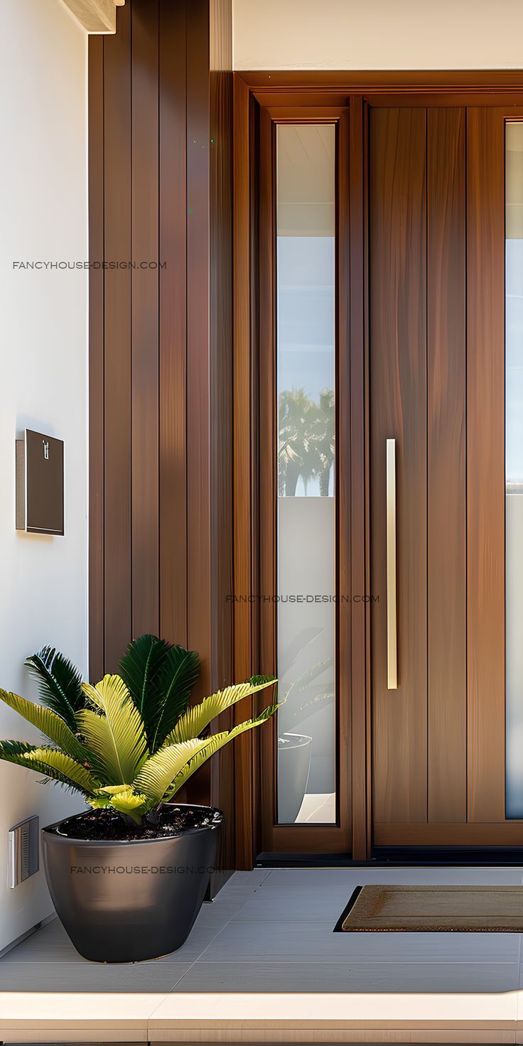 a potted plant sitting in front of a wooden door with glass panels on the side