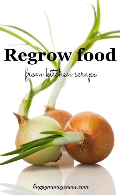 two onions and one onion with the words regrow food from kitchen scraps