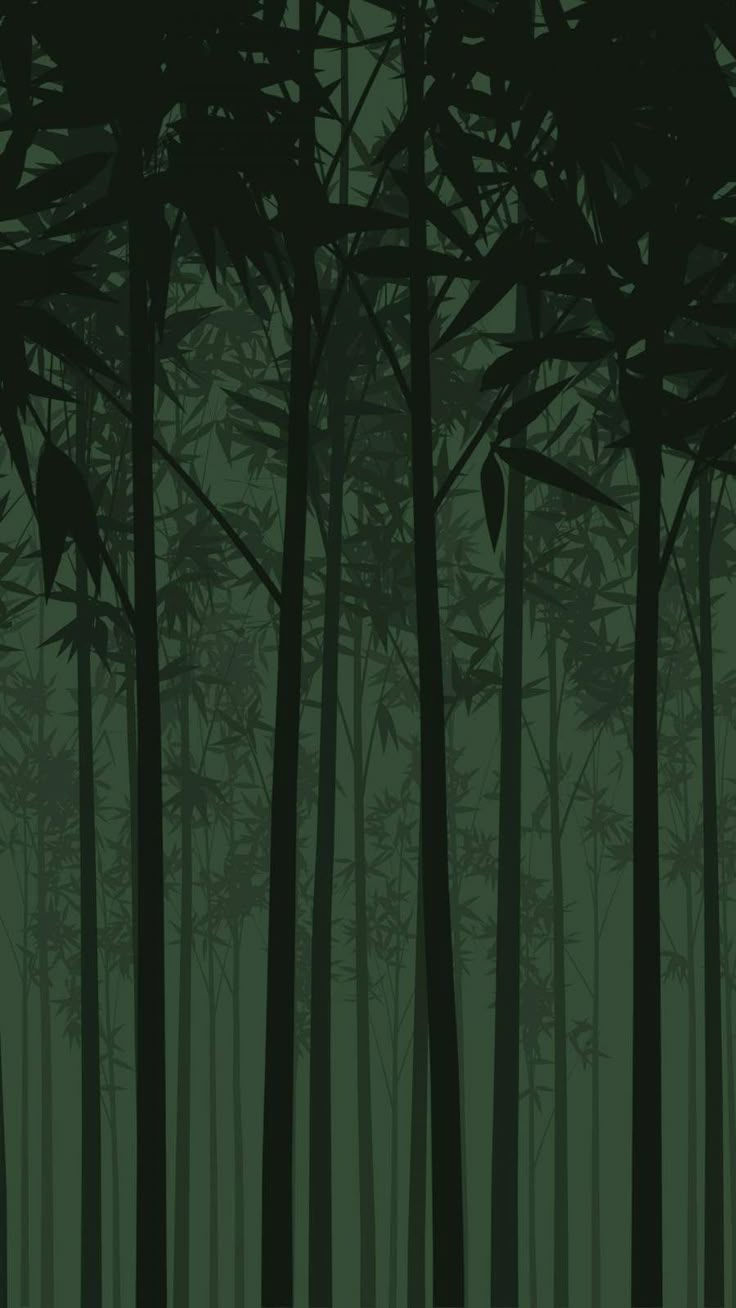 an image of a forest with tall trees in the foggy night time sky and green foliage