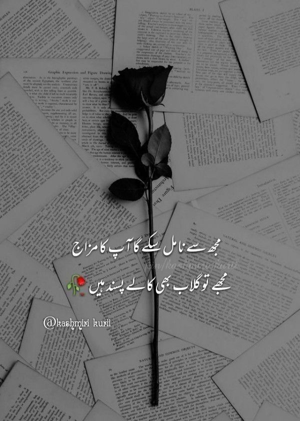 a rose sitting on top of an open book with the words in english and arabic