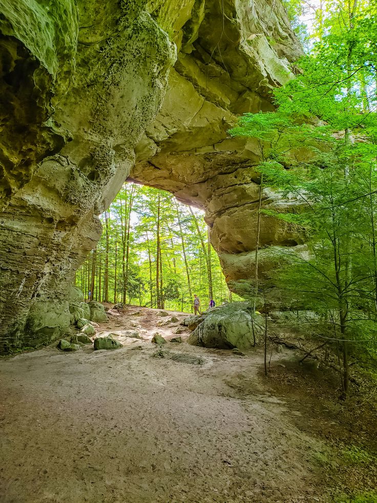 a person is standing in the middle of a large rock formation with trees around it