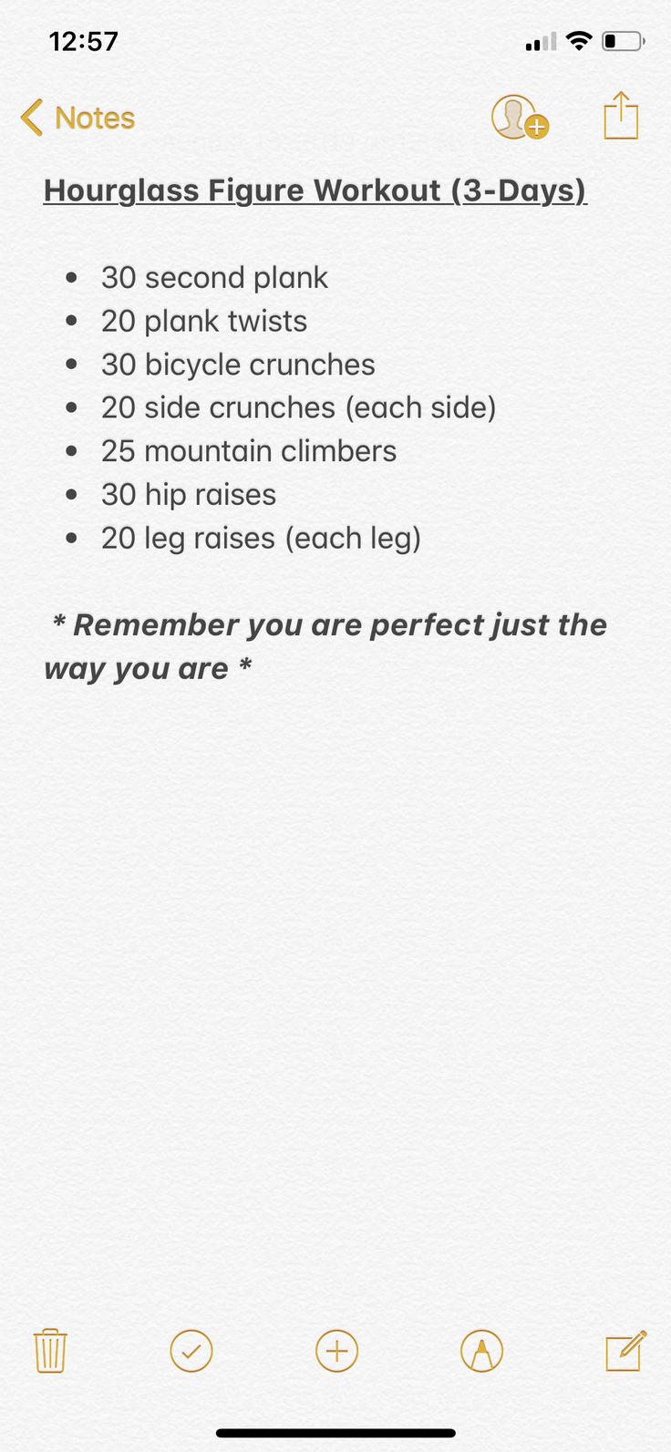 the workout log is displayed in this screenshote, and shows how to use it