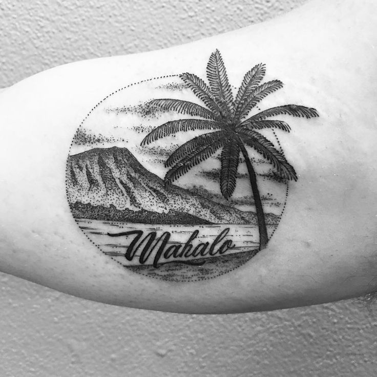 a black and white photo of a palm tree on the arm