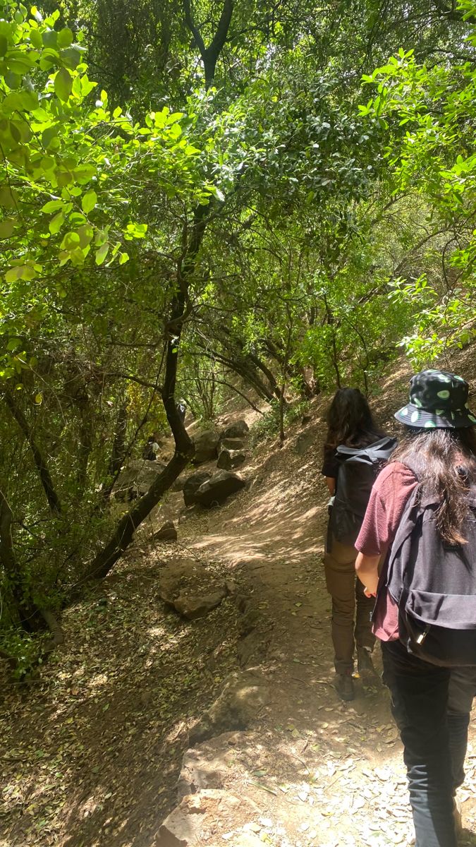 two people walking down a trail in the woods with backpacks on their back,