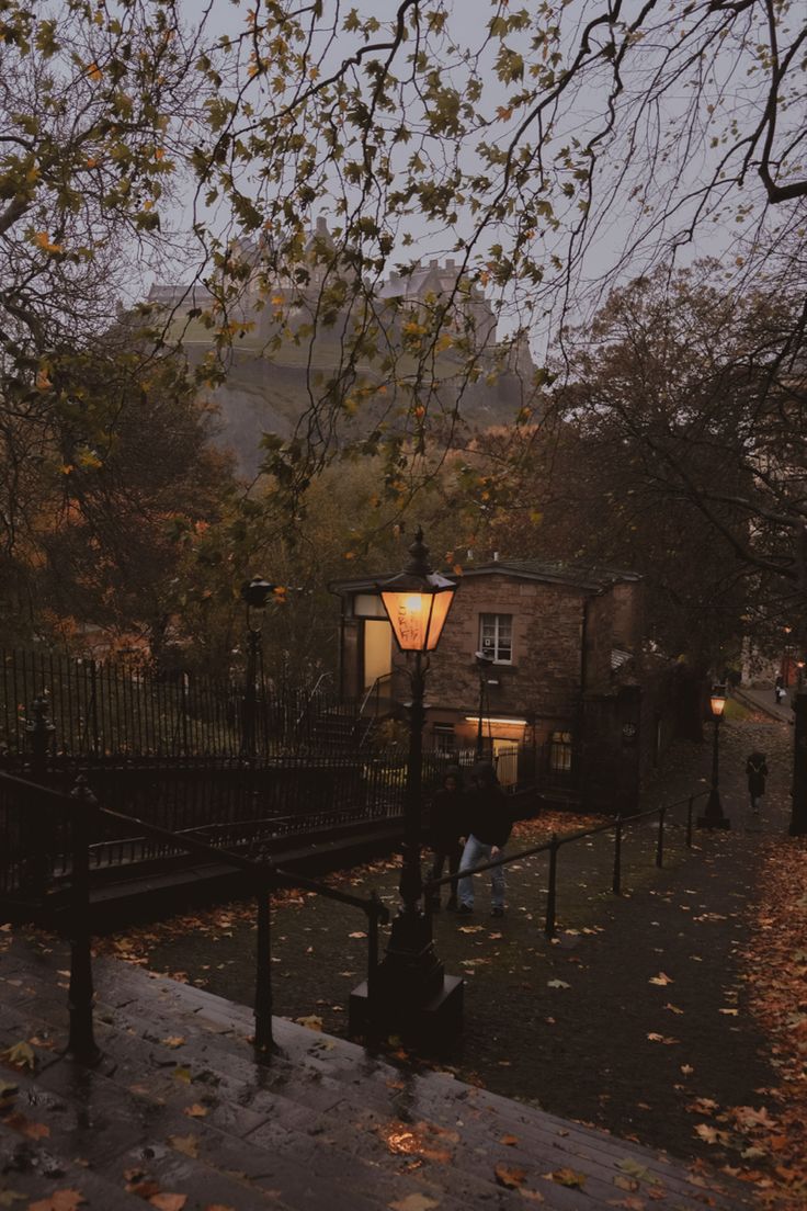 a street light sitting on the side of a road next to a tree filled with leaves