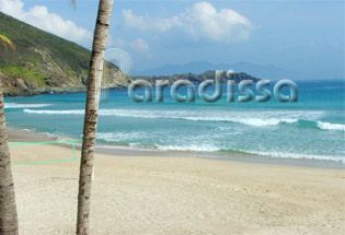 two palm trees are on the beach near the ocean