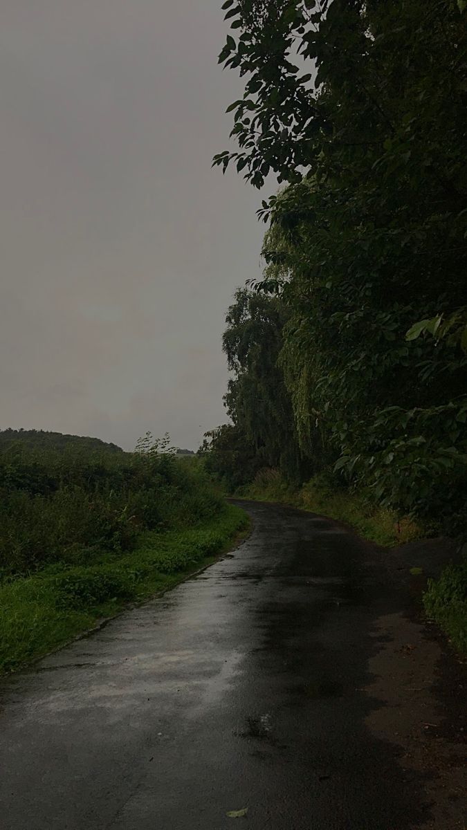 an empty road in the middle of a lush green field with trees on both sides