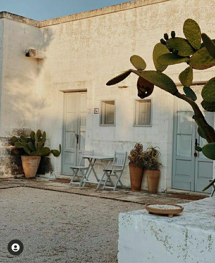 an outdoor patio with potted plants and chairs in front of a white building on a sunny day