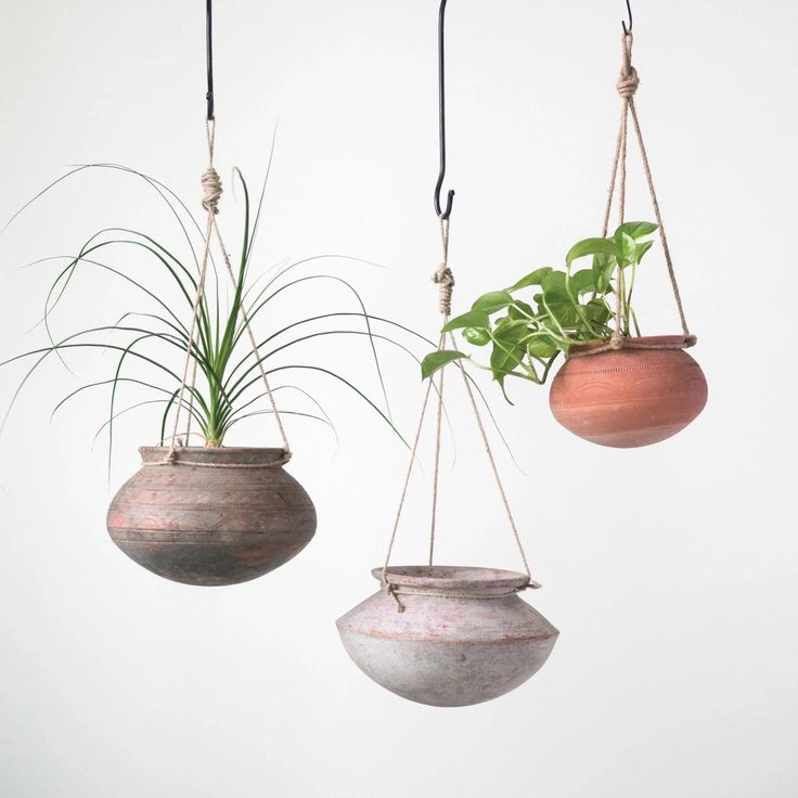 three hanging planters with plants in them