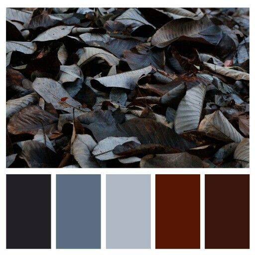 the color palette is brown, blue, and grey leaves are scattered on the ground