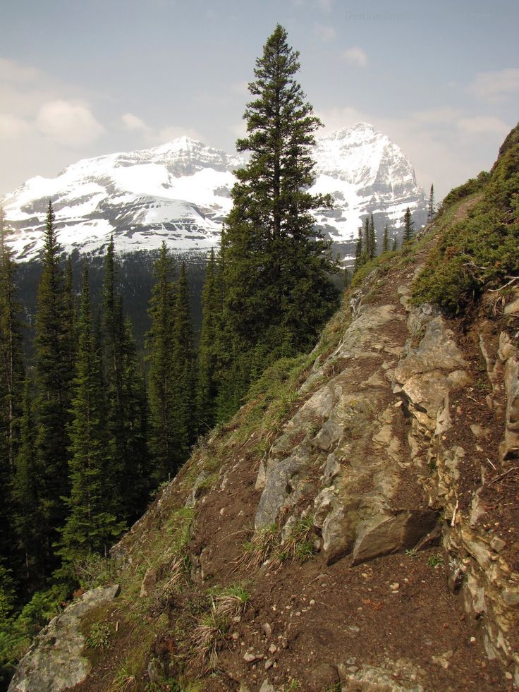 there is a mountain with snow on the top and trees in the foreground,