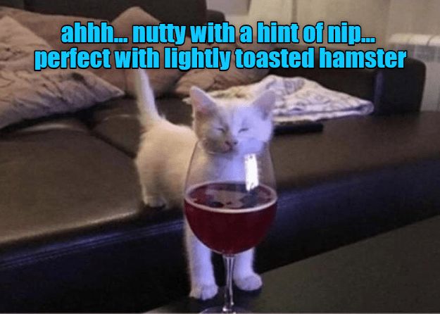 a cat standing next to a glass of wine on top of a table with the caption ahh nutty with a hint of nin in perfect with lightly toasted hamster