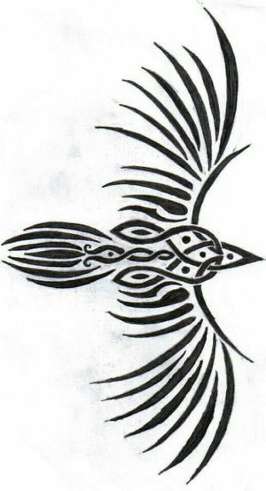 a black and white drawing of a bird with wings on it's back side