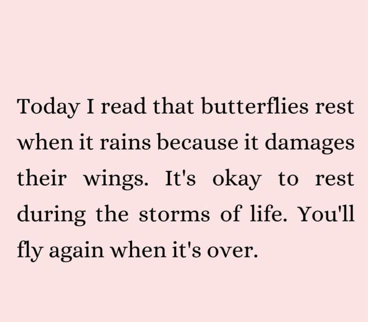 a quote that reads today i read that butterflies rest when it rains because it damages their wings