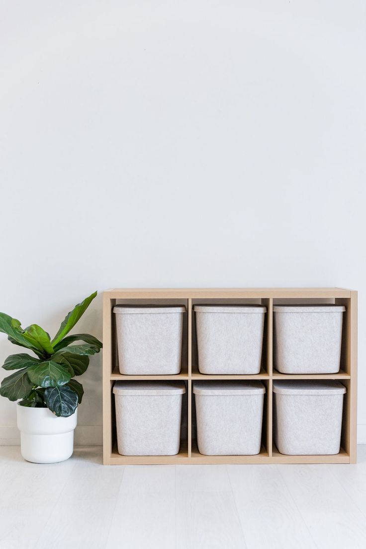 a potted plant sitting on top of a white floor next to a wooden shelf