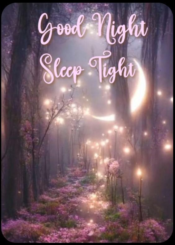 the words good night sleep tight in front of a forest with lights and flowers on it