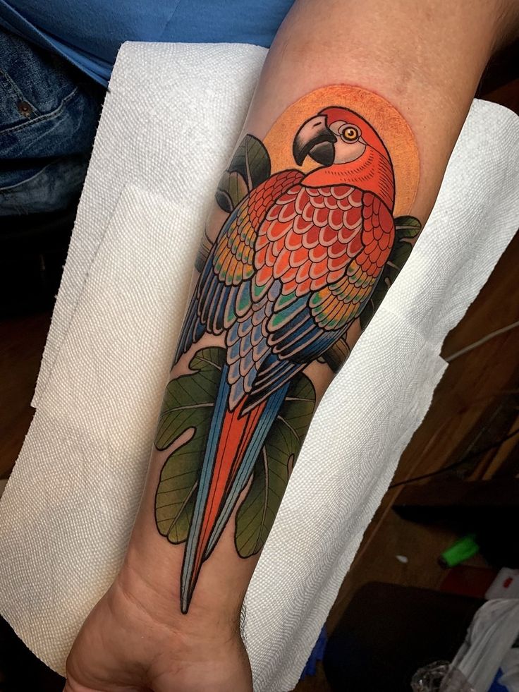 a colorful parrot tattoo on the arm