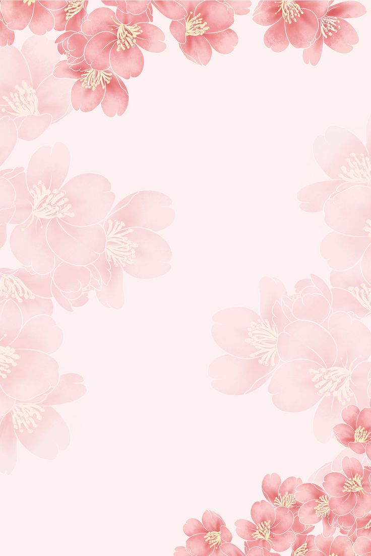 pink flowers on a light pink background