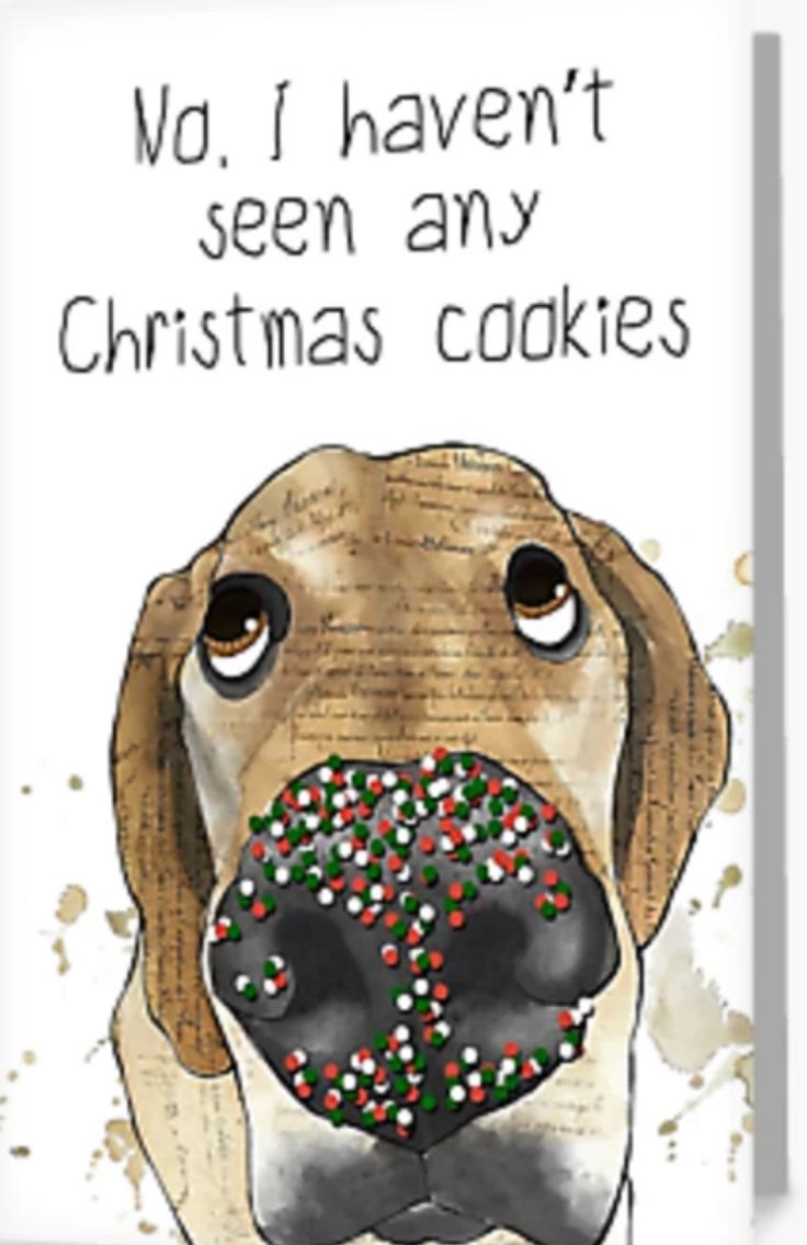 a dog with a christmas cookie in its mouth