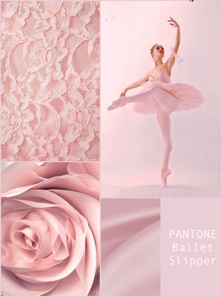 an image of a ballerina in pink with roses and lace on the bottom right side