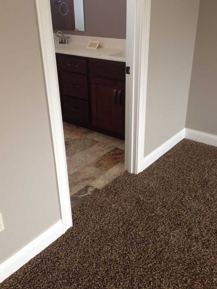 a bathroom with brown carpet and white sink