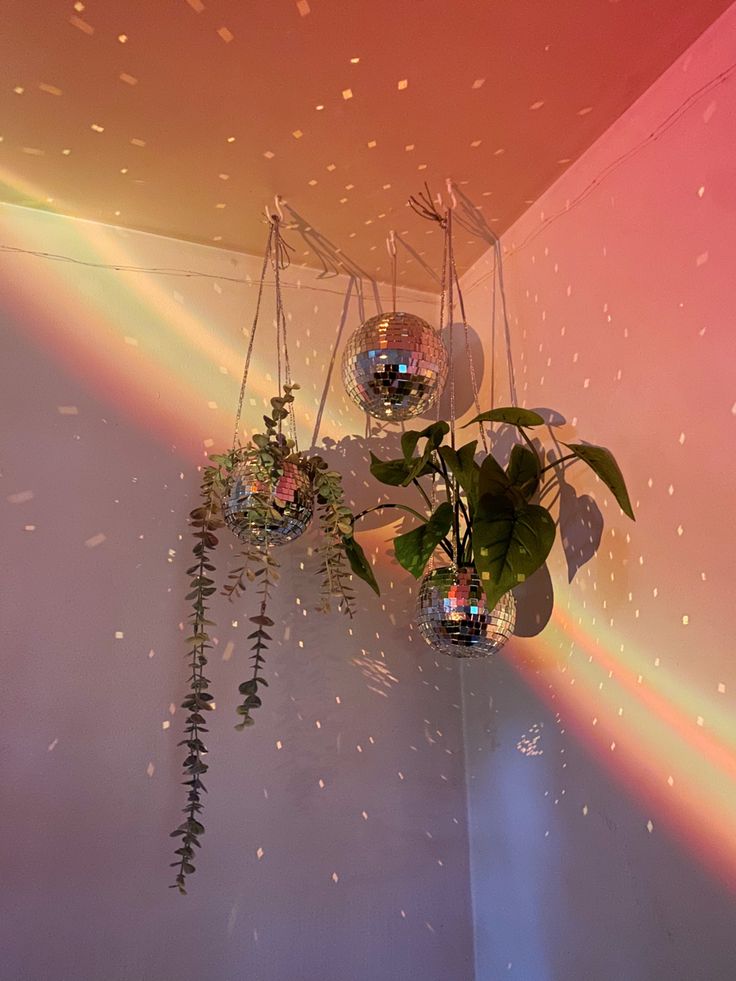 three disco balls hanging from the ceiling with plants in them and rainbow light coming through