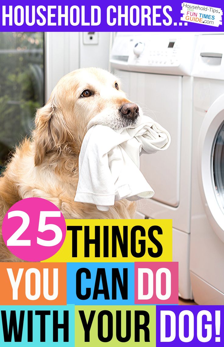 a dog with a towel in its mouth and the words 25 things you can do with your dog