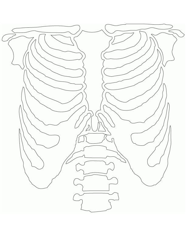 the ribcage is shown in black and white, with pink border around it