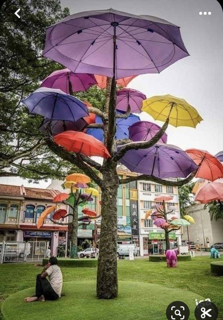 there are many umbrellas hanging from the tree in the park, and one person is sitting on the grass