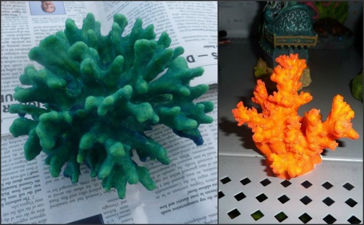 there are two different types of fake corals