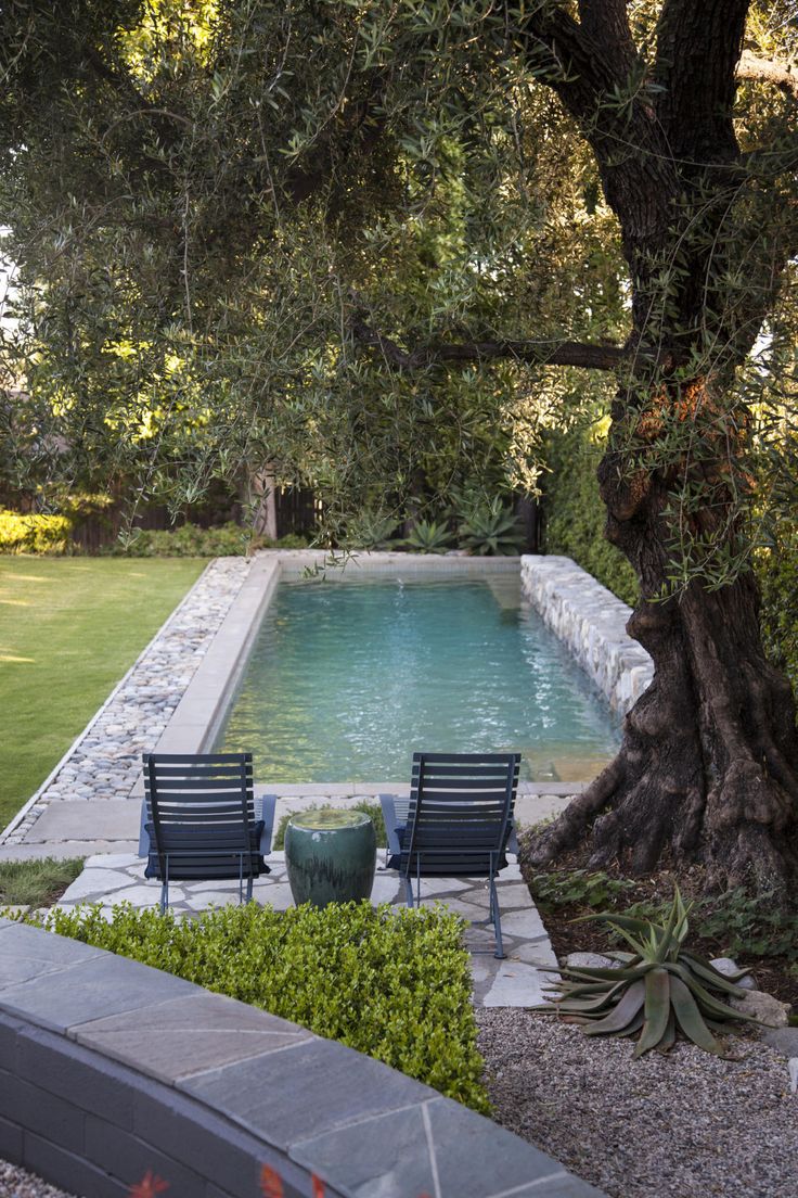 two lawn chairs sitting next to a pool in the middle of a yard with an olive tree