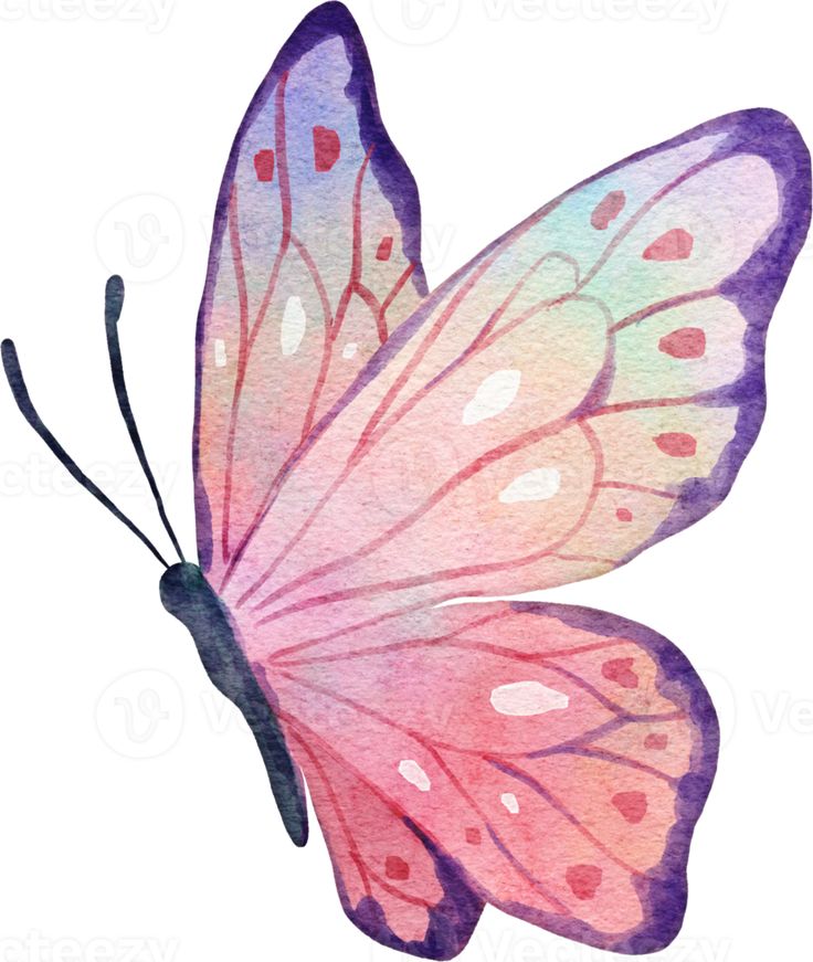 a watercolor painting of a pink butterfly