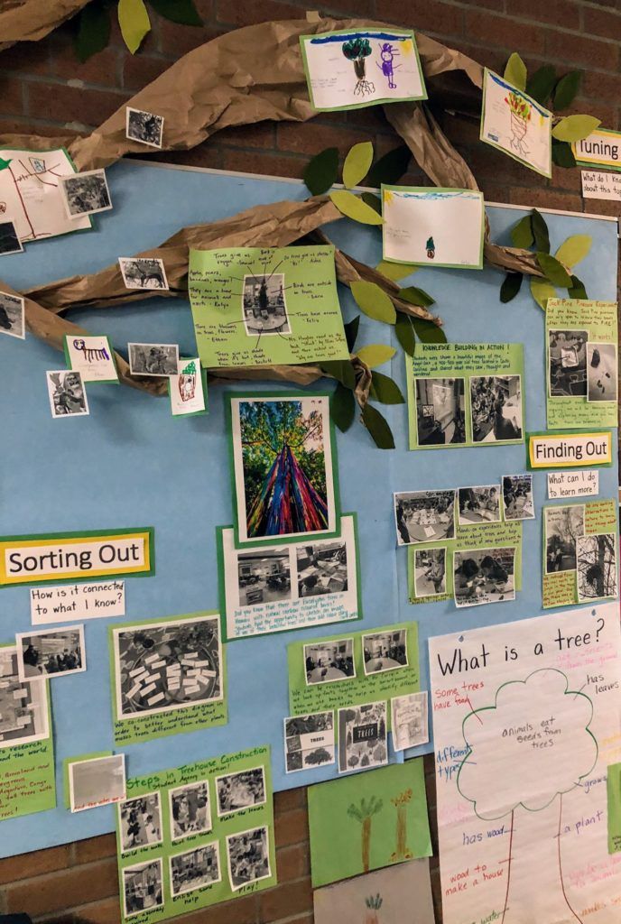 a bulletin board with pictures and writing on it