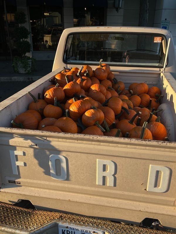 a pick up truck filled with pumpkins in the bed