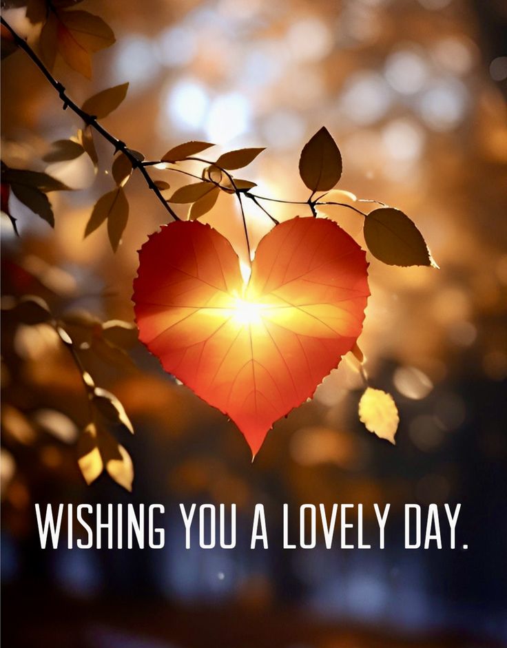 a heart shaped leaf hanging from a tree branch with the words wishing you a lovely day