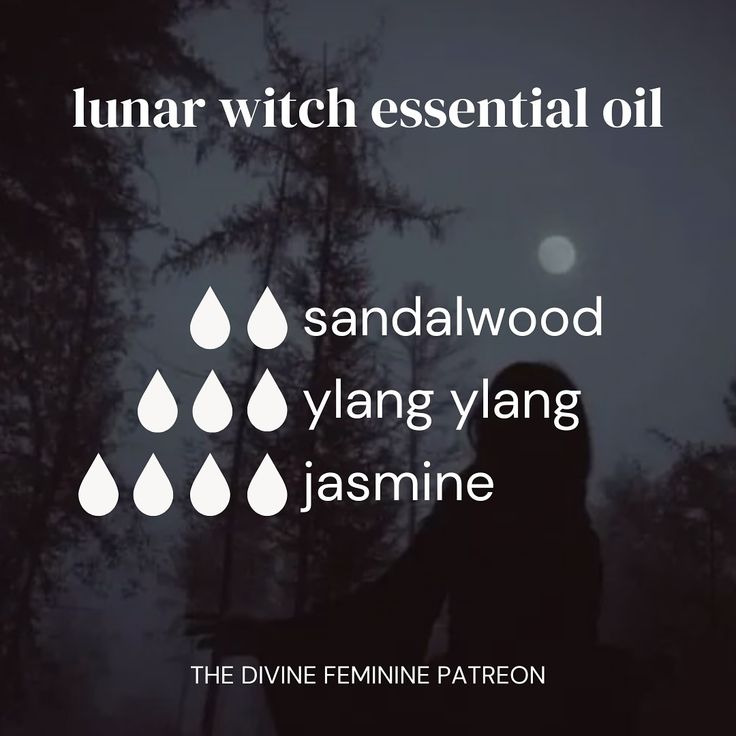 🌿🐈‍⬛✨🌙 Essential Oil Blends inspired by the witches Some blends l’ve created that you can use for aromatherapy! Some ways you can use essential oils are in… diffusers, for creating oils, adding in lotions or directly onto pulse points with caution, etc! I’ve posted lots of essential oils over on Patreon so definitely get check them out! ✨🌙 🍂🍁 Shop our metaphysical shop through the link in bio #aromatherapy #witch #witchy #essentialoils #witchtok #witchcraft #pagan #witchesoftiktok #greenwi... Wicca Essential Oils, Spooky Essential Oil Blends, Witchy Diffuser Blends, Essential Oils For Witchcraft, Witchy Essential Oil Blends, Witch Oils, Witchy Recipes, Grey Witch, Joy Essential Oil