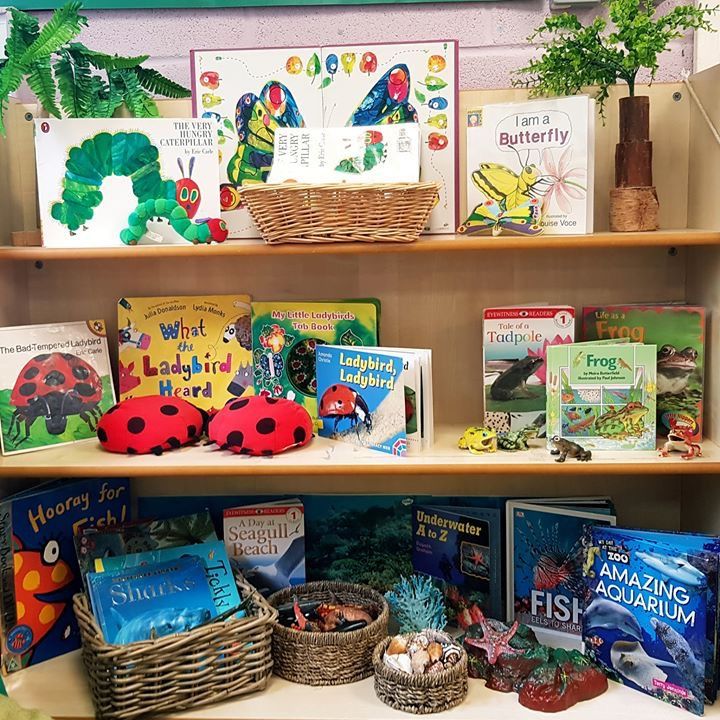 children's books and toys are on the shelves in this classroom display case,