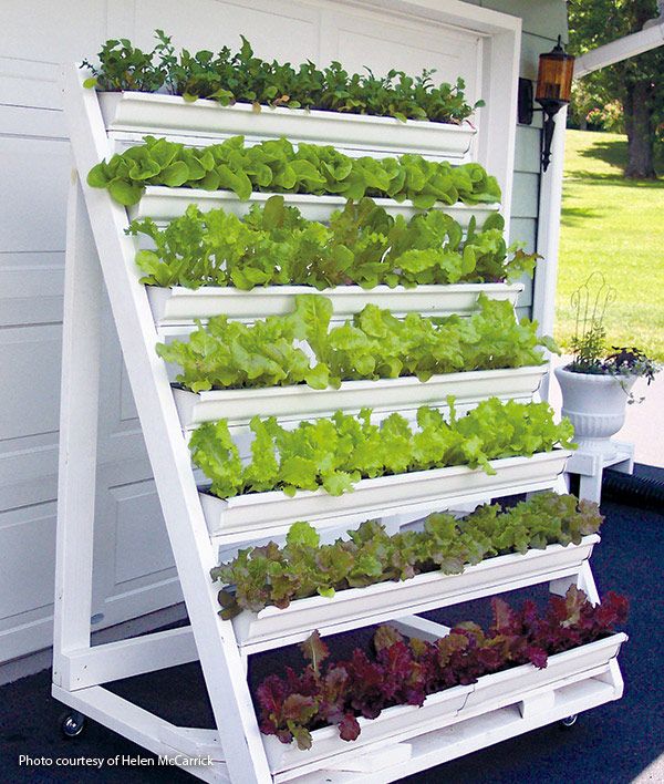 an outdoor garden with many plants growing on it's sides and attached to the side of a house