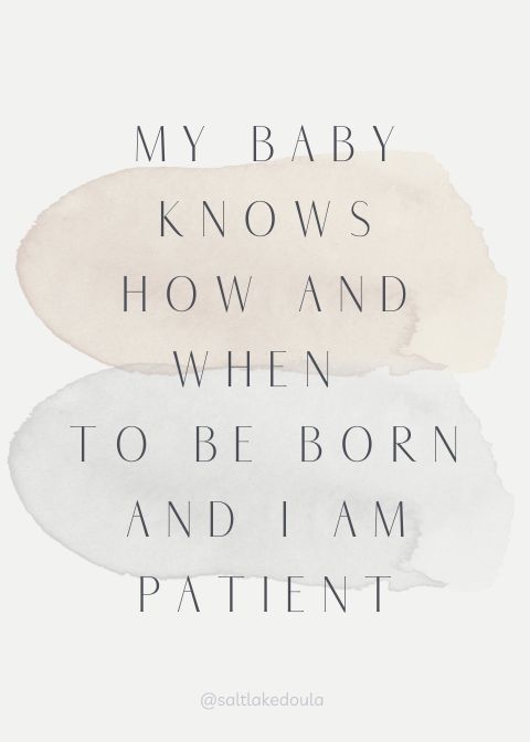 the quote for my baby knows how and when to be born and i am patient