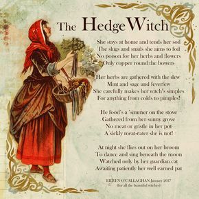 Hedge Witchcraft, Hedge Witchery, The Crone, Which Witch, Green Witchcraft, Wiccan Witch, Eclectic Witch, Magick Spells, Witchcraft Spell Books