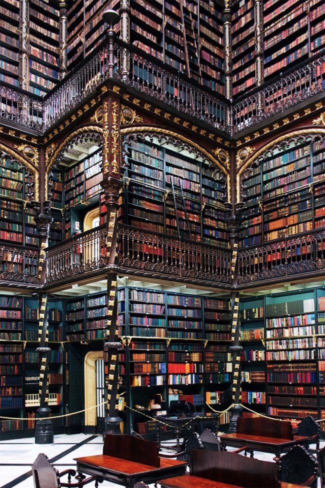 a library filled with lots of books and wooden benches